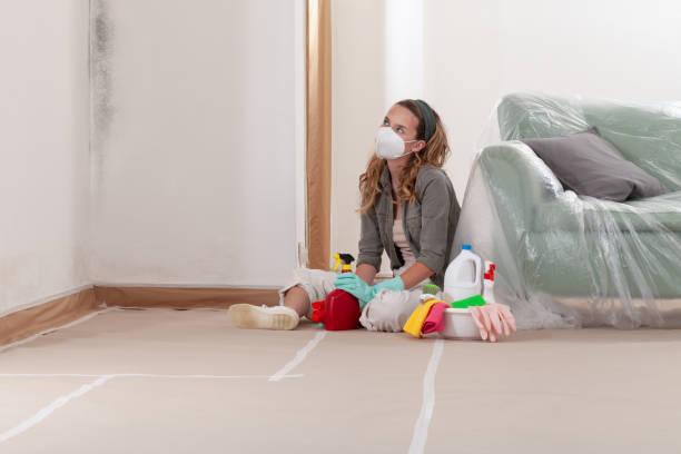 Reliable Basement Mold Remediation contractor in Spring, TX by Car Mold Remediation